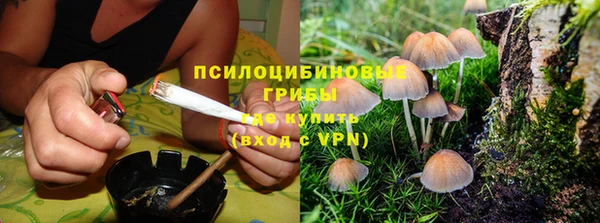 марки lsd Белоозёрский