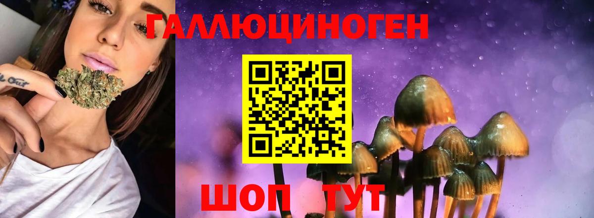 Бутурлиновка  Галлюциногенные грибы Cubensis  наркотики  Вход с VPN 